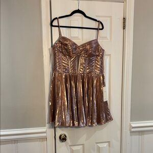 Elegant Metallic Dress for Prom